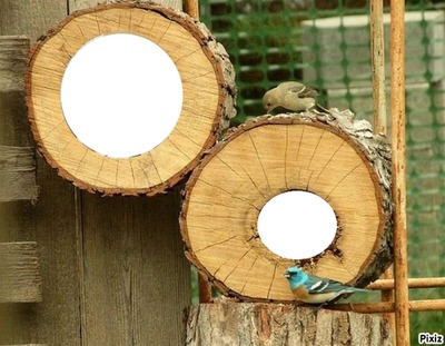 2 rondelles de bois Photo frame effect