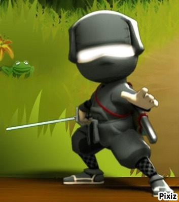 mini ninja hiro Fotomontaggio