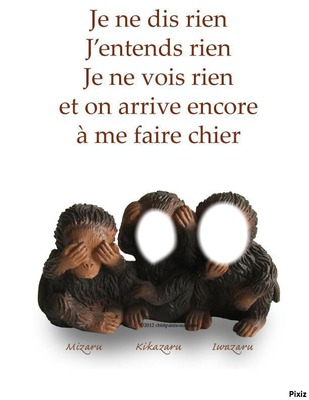 "Des singes qui disent la veriter" Fotomontasje
