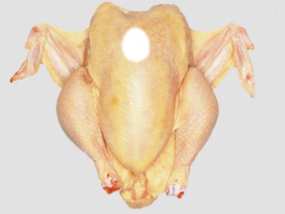 poulet Fotomontáž