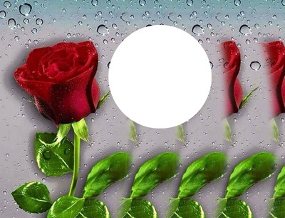 love roses Φωτομοντάζ