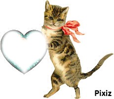 chat coeur Montage photo