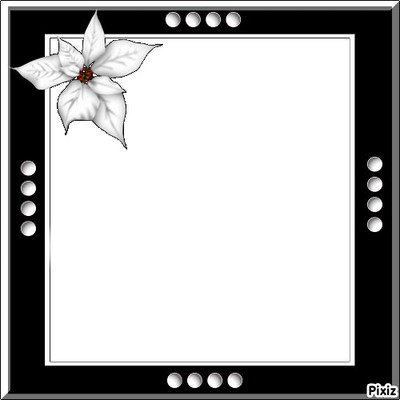 amitier Photo frame effect
