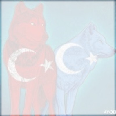 Doğu Türkistan & Türkiye