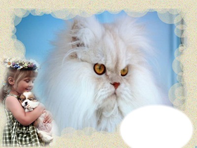 Chat & Chien Photo frame effect
