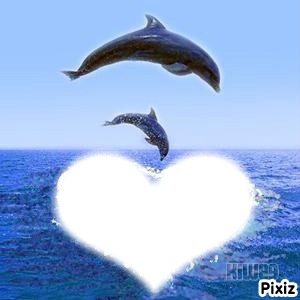 dauphins 2 Fotomontagem