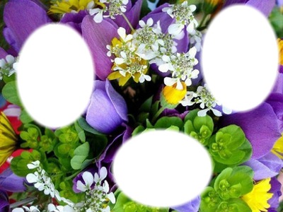 Fleurs* Fotomontage