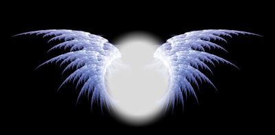 Wings Fotomontage