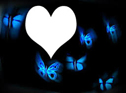corazon mariposas Photo frame effect