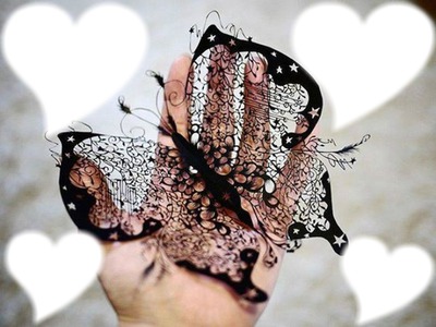 papillon en dentel Fotoğraf editörü
