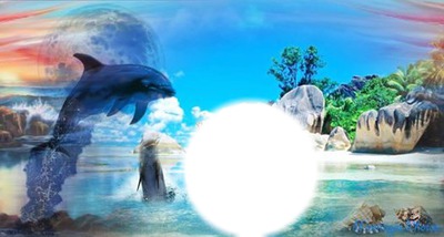 jouer avec les dauphins Photomontage