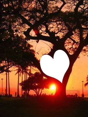 coeur en arbre Фотомонтаж