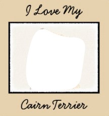 I love my cairn terrier Фотомонтажа