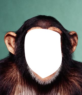 Monkey Photo frame effect