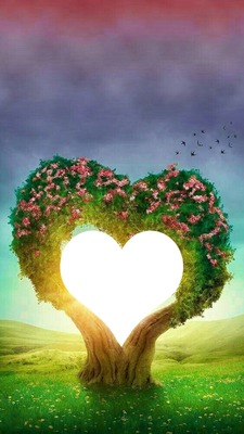 corazón en árbol, 1 foto Fotomontaggio