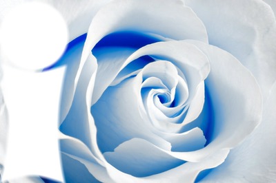 Fleur bleue Valokuvamontaasi