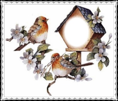 Flores y pájaros Fotomontage