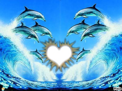 dauphin avec soleil coeur Montage photo