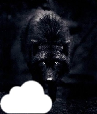 loup noir Fotómontázs