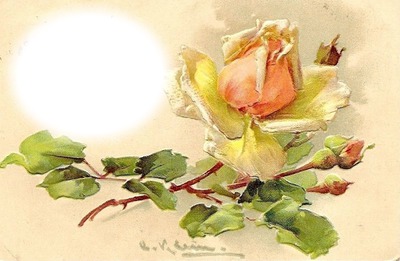 rose jaune Fotomontasje