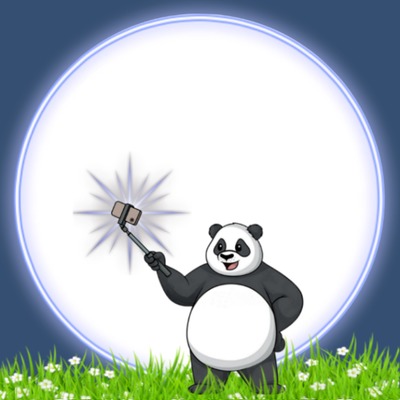 lindo panda, marco 1 foto Photomontage