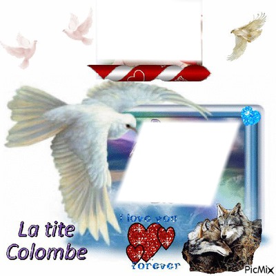 colombe Fotomontage