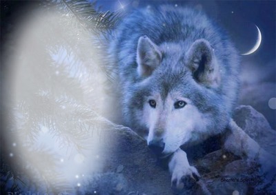 moon wolf Fotomontage
