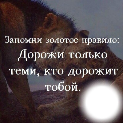 Картинки Я Дорожу Тобой