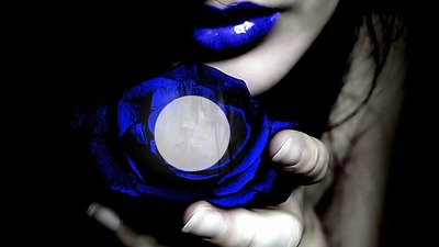 rose bleu <3 Fotomontažas