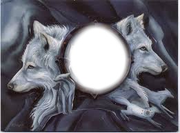 abdo wolf Photo frame effect