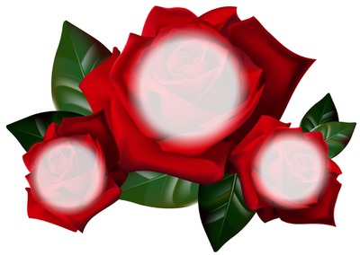 rose Fotomontage