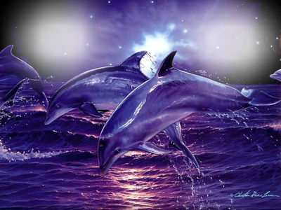 delfines 2 Montaje fotografico