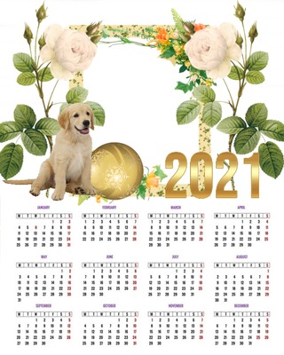 Cc Calendario cecy Fotomontáž