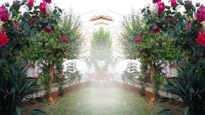 Jardim Fotomontagem