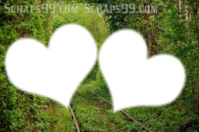 love forest Fotomontáž