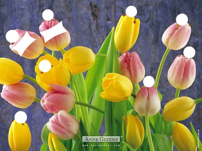 bébé tulipe Fotomontaggio