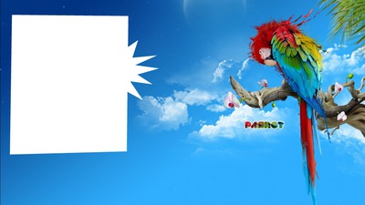 PARROT Photo frame effect