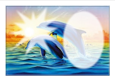 les dauphins Photo frame effect