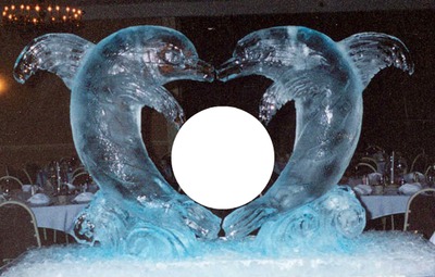 ice dolphin-hdh Montage photo