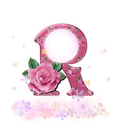 Letra R, rosa rosada, 1 foto Fotomontage