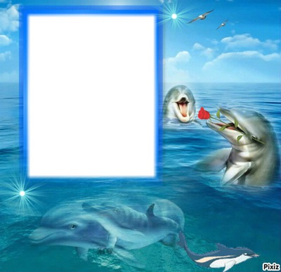 cadre dauphins Photomontage