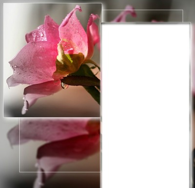 lily-jade* Fotomontáž