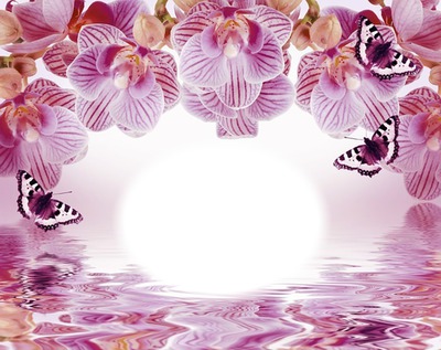 Orchidées-papillons-fleurs-nature フォトモンタージュ