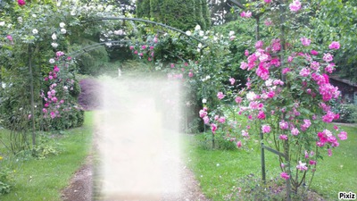 Un jardin de roses Photo frame effect