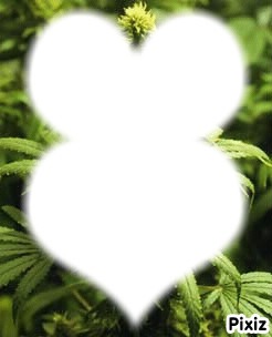 marijuana heart Fotomontaż