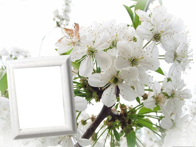 Bouquet de printemps Фотомонтаж
