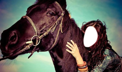 cheval portrait Photomontage