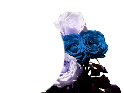 cadre fleur rose Photomontage