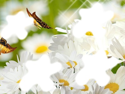 Fleurs* Fotomontāža