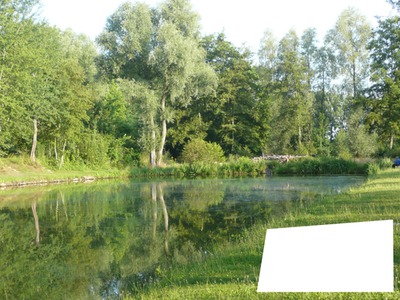 étang de rêve à Biezeveld
